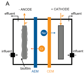 MDC Diagram. All Rights Reserved.