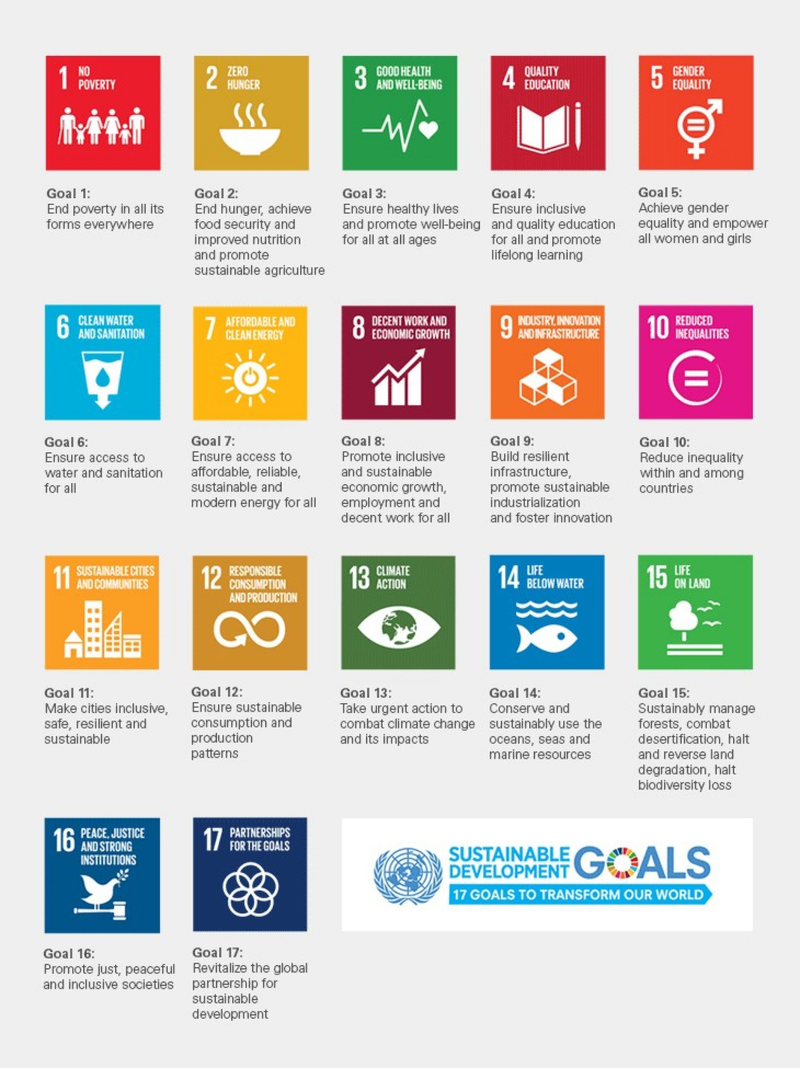 The Sustainable Development Goals