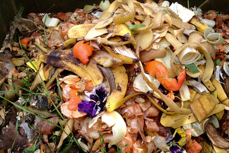 File:Food Waste Picture.png
