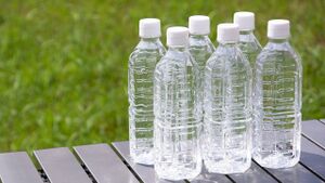 PET Bottles (all rights reserved) [3]