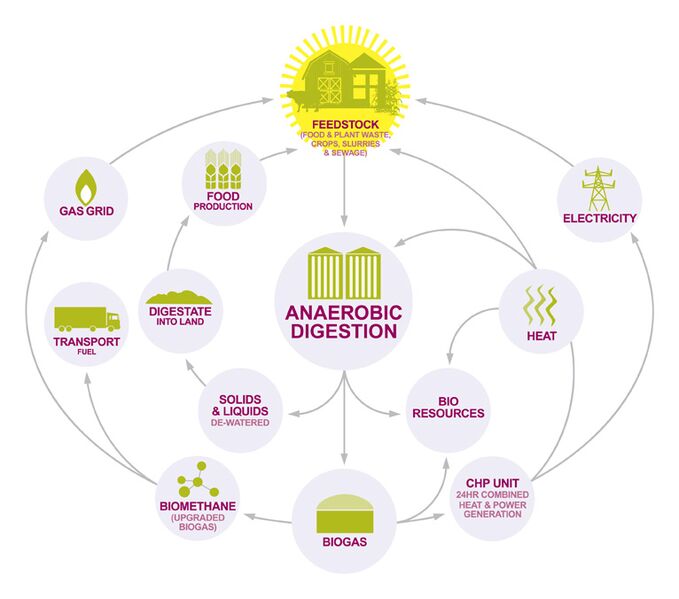 File:NEW AD diagram LR.jpg