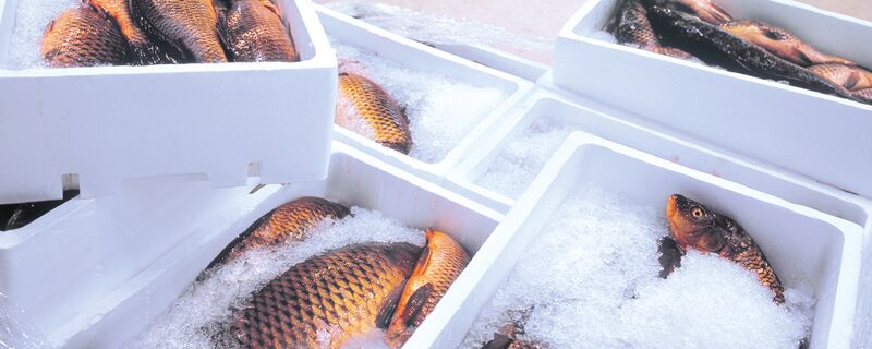 File:EPS fish boxes.jpg